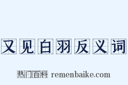 又见白羽反义词是什么意思的图片